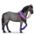 pony berge