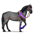 einhorn-pony berge
