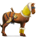 pony wüste