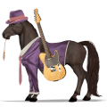 pony neufundland pony dunkelbrauner