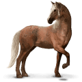 wildpferd brumby
