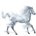 wasserpferd nebel