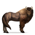 wildpferd bison