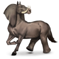 wildpferd elefant