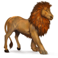 wildpferd afrikanischer löwe