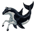 wildpferd orca