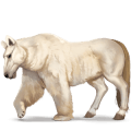 wildpferd eisbär