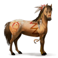 reitpferd brumby dunkelbrauner