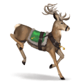 göttliches pferd dancer