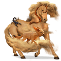einhorn-reitpferd apfelschimmel