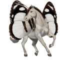 reitpferd brauner
