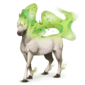 windpferd euros