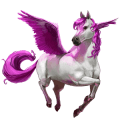 falabella-pferd chiquitin