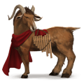 pony deutsches reitpony palomino