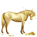 reitpferd irisches sportpferd palomino