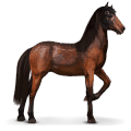 wildpferd garrano