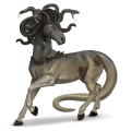 reitpferd deutsches reitpferd falbe