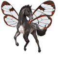 pony shetlandpony falbe