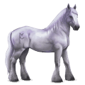 göttliches pferd greyfell   3