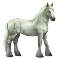 göttliches pferd greyfell   9