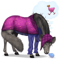 reitpferd finne dunkelfuchs
