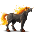 reitpferd deutsches reitpferd rotbrauner