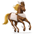 reitpferd niederländisches warmblut dunkelfuchs