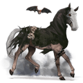 reitpferd andalusier apfelschimmel