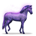 pferd des regenbogens devoted indigo