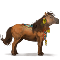 reitpferd araber dunkelfuchs mit heller mähne