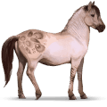 wildpferd konik