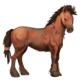 reitpferd argentinischer criollo fuchs