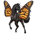 einhorn-reitpferd rappe
