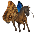 einhorn-reitpferd fuchs