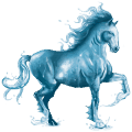 wasserpferd ozean