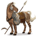 reitpferd araber fuchs
