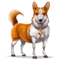 wildpferd welsh corgi