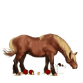 einhorn-reitpferd apfelschimmel