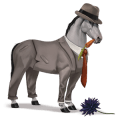 reitpferd mustang rappe