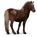 wildpferd sable island pony