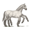 sleipnir weiß