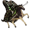 pegasus-reitpferd argentinischer criollo cremello