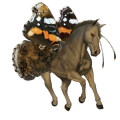 einhorn-reitpferd dunkelbrauner