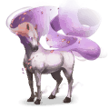 windpferd zephyr