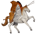 einhorn-reitpferd rotbrauner