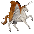 pegasus-reitpferd rappe mit tobiano-scheckung