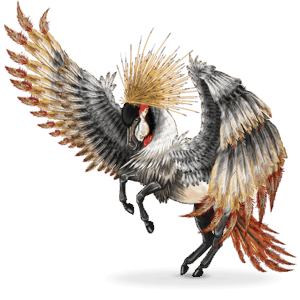 nomadenpferd vogel balearica