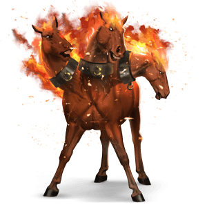 reitpferd argentinischer criollo dunkelbrauner