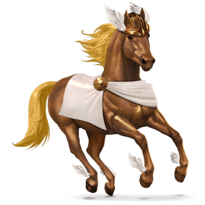 reitpferd marwari apfelschimmel