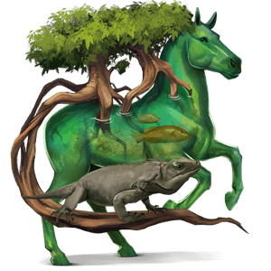 reitpferd argentinischer criollo falbe